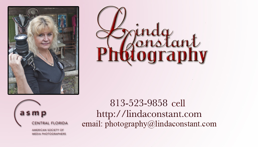 Linda Constant - Website